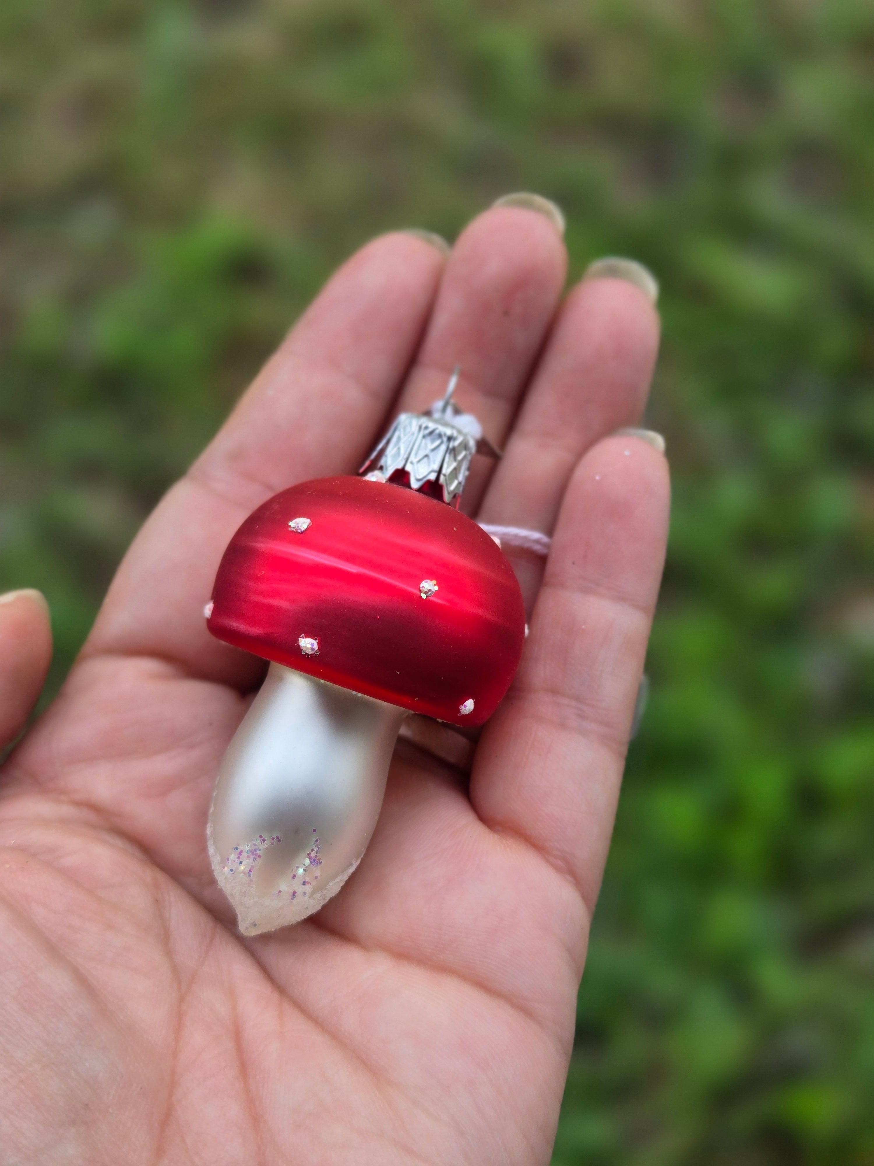 Mini Red Dainty Mushroom