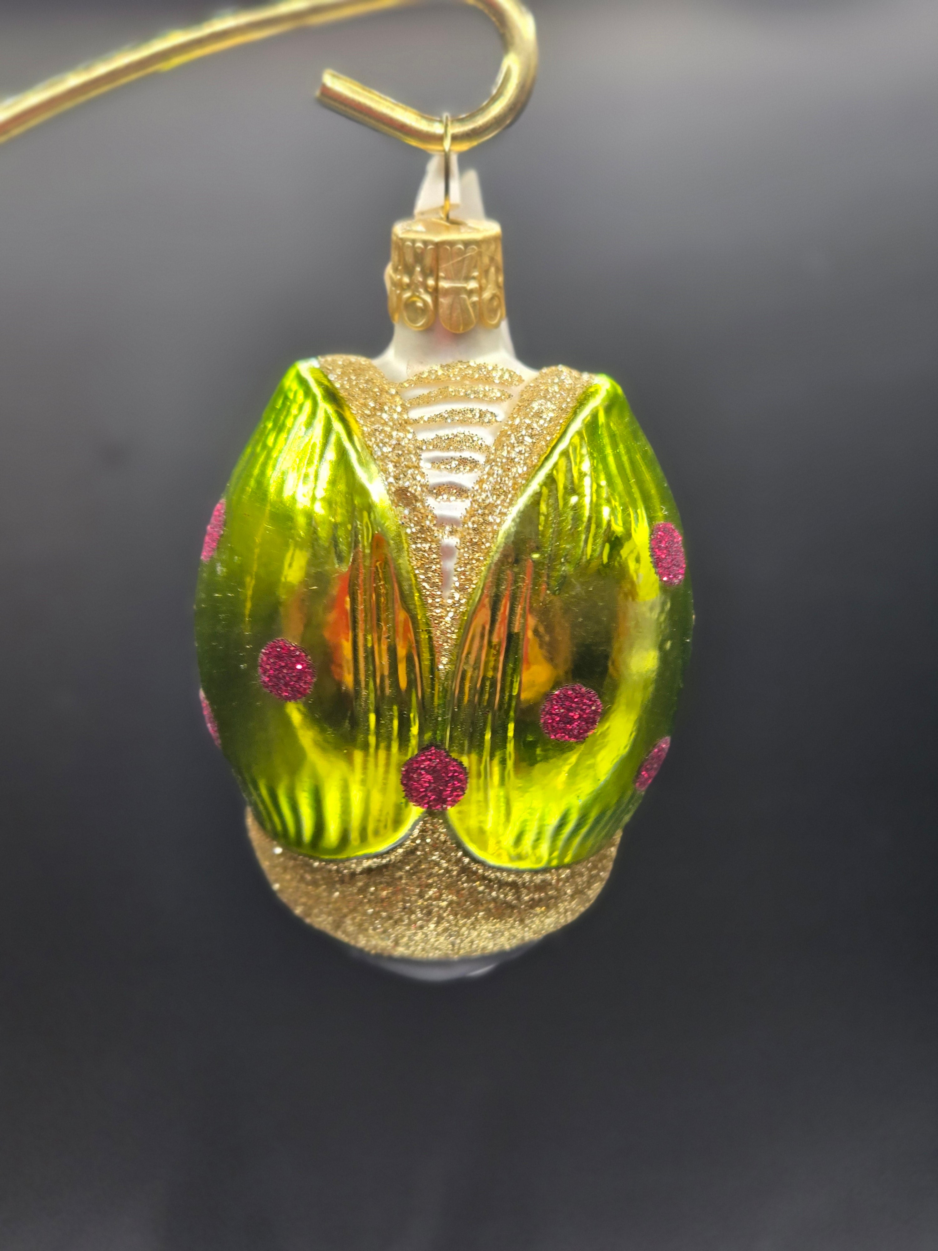 Happy Jeweled Beetle