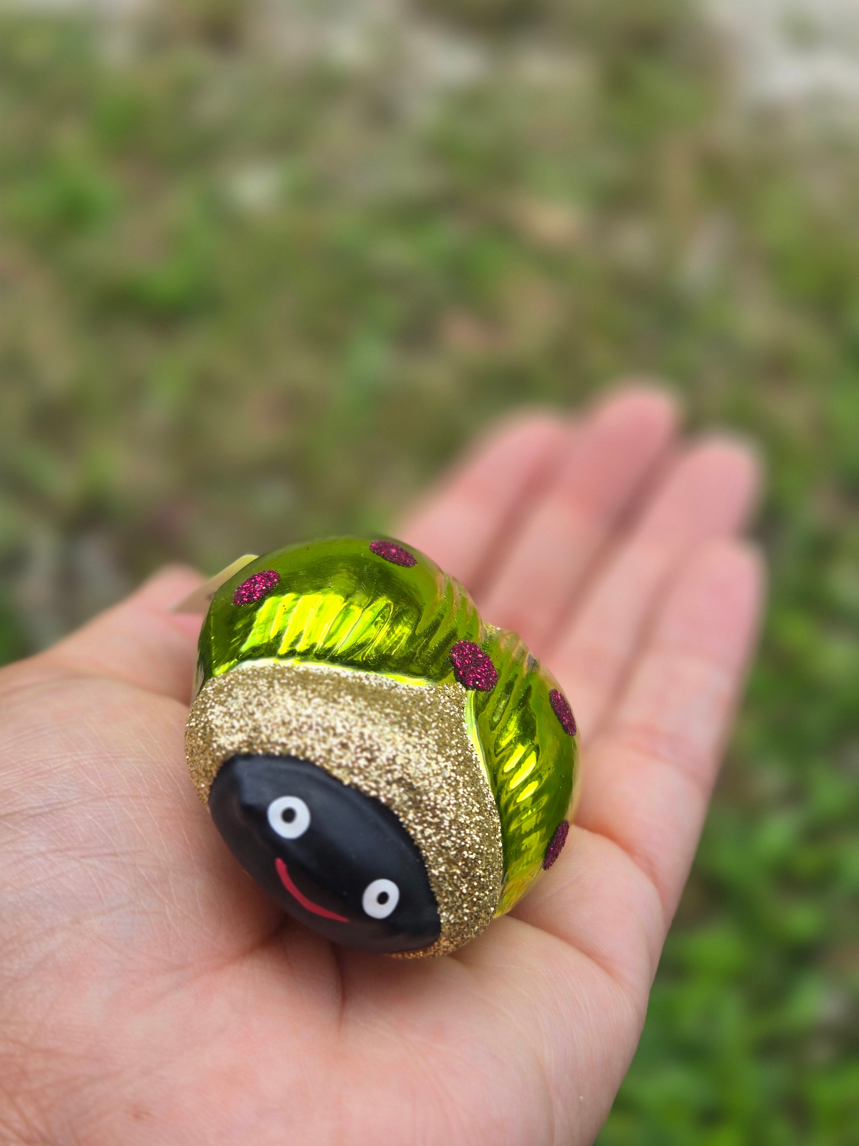 Happy Jeweled Beetle